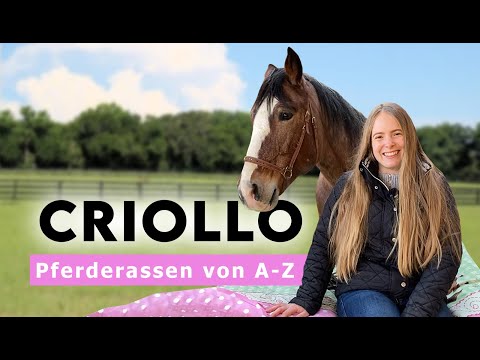 , title : 'Pferderassen von A-Z | 𝗖𝗿𝗶𝗼𝗹𝗹𝗼𝘀 - die Therapiepferde vom Lichtblickhof'