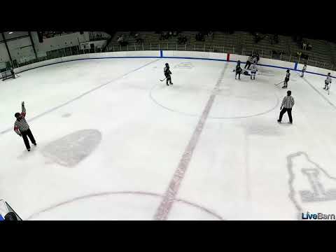 15O Tier I Youth Hockey: Major Plus Game Misconduct, Cross-Checking, 2/24/2024