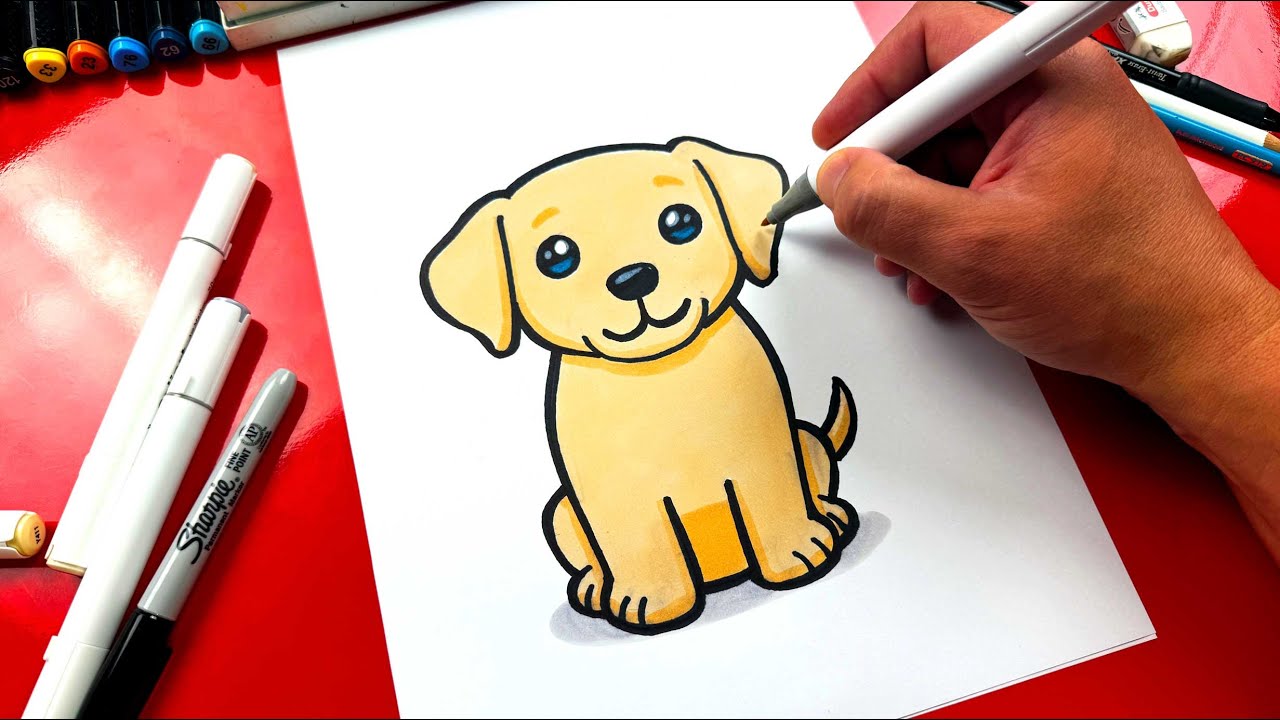 How To Draw A Labrador Puppy