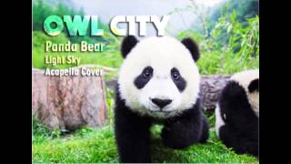 Owl City - Panda Bear (Acapella Cover)
