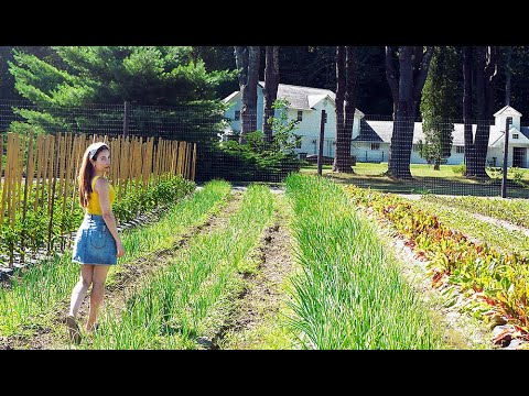 download lagu mp3 mp4 Midwest Wellness Retreats, download lagu Midwest Wellness Retreats gratis, unduh video klip Midwest Wellness Retreats