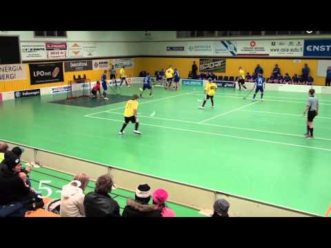 Pss - Erä A 22.1.2014 maalikooste