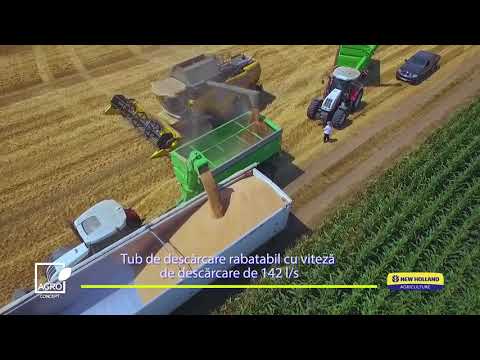 8 combine New Holland recolteaza simultan in ferma Domnului Voicu Dumitru
