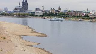 Rekordtief im Rhein: Dürre setzt Deutschland zu