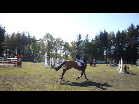 Meldorfer Reitertage 2017 mit Janne Ritters