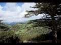 CYPRUS HD Mov