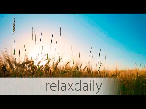 N°014 - relaxdaily [official video]