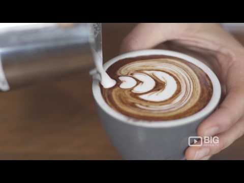 Estabar Gelati & Espresso Bar, a Cafe in Sydney serving Healthy Meal, Coffee, and Gelato Ice Cream