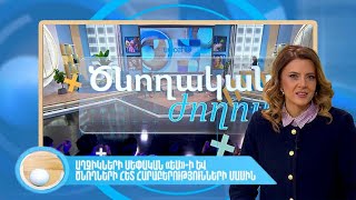 Ծնողական ժողով. Աղջիկների սեփական «Ես»-ի և ծնողների հետ հարաբերությունների մասին