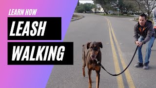 Learn when to let your leash reactive dog smell and pee during walking