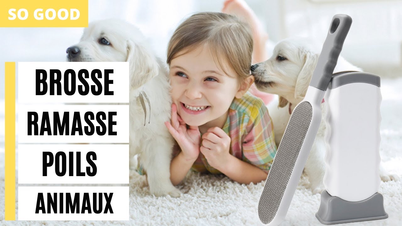 Brosse ramasse poils : mon test complet pour chat et chien