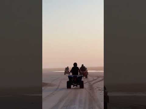 #وائل_جسار  #ورده  #وردة_الجزائرية  #الجزائر  #منتخب_مصر  #المغرب