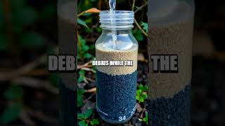 Homemade Water Filtration Experiment