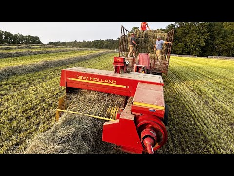 Small Farm Makes 1600 Hay Bales!!!