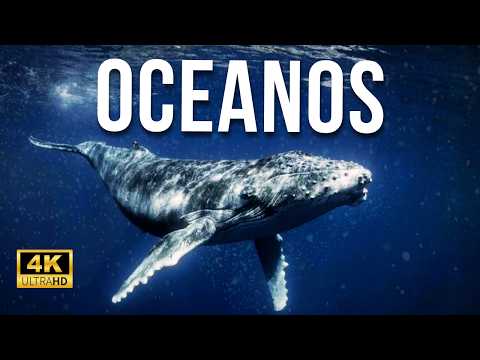 OCEANOS — A Verdadeira História dos Mares | Documentário Completo 4k