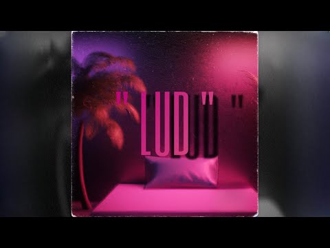 Dusvvn - Lud (Mood RMX)