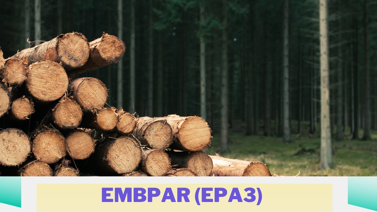 A Embpar (EPAR3) é uma HOLDING sem grande DIFERENCIAL