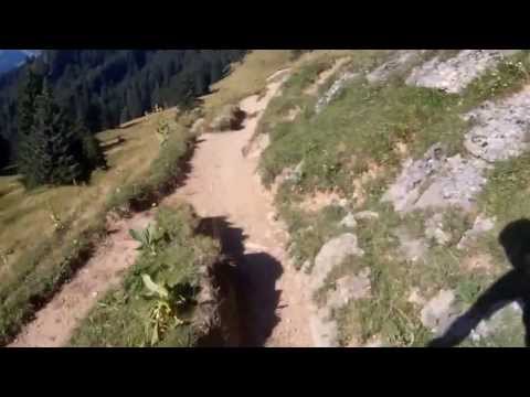 Another Trail In Paradise oder... Der Nächste Versuch Zu Biken (Bärenkopf)