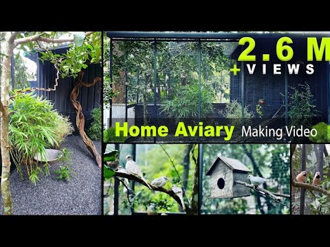 Home Aviary Making Video I DIY I Time Lapse I Bird Cage I Aviaries I Exotic Birds