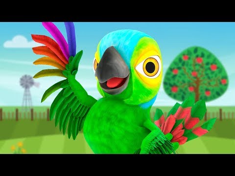 Il Pappagallo Peppe | Il Regno dei Bambini