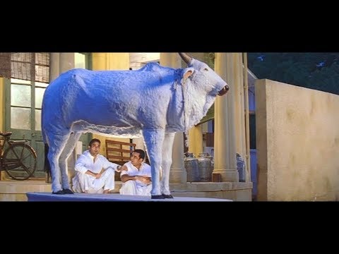 Hulchul || Comedy Cow scene ||  Akshay Khanna || Paresh Rawal  Part 4