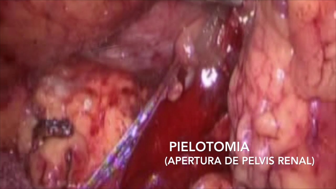 Alvaro I. Carrasco Gonzalez-9