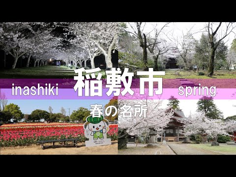 【名所紹介】茨城県稲敷市 春の名所  Inashiki City, Ibaraki Prefecture, Japan