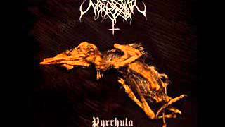 NORDVARGR "Pyrrhula"