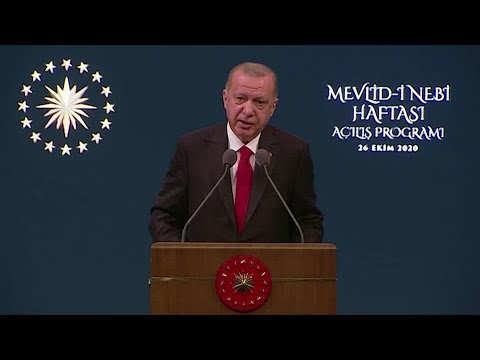 埃爾多安支持法國對漫畫的抵制行動 (Erdogan backs French boycott over cartoon)