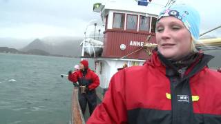 preview picture of video 'Havrafting og fisketur på Nyvågar Rorbuhotell i Lofoten'