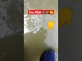 Miracle Of Allah Islam Allah Gesi Baglari Short Youtubeshorts