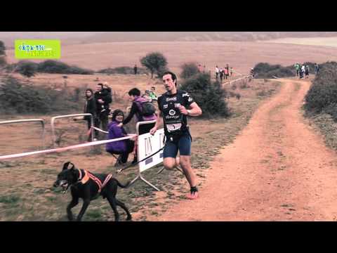 Campeonato navarro de Mushing