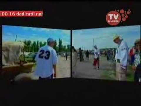 Cumetrii-Alabale (videoclip)...by Deeya