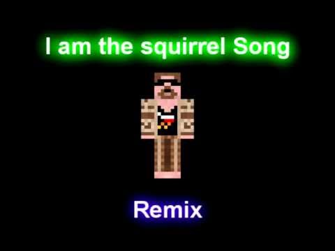 Avidya Zen - I am the Squirrel Song Remix (Squirrel Rage)