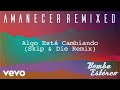 Bomba Estéreo - Algo Está Cambiando (Skip & Die Remix)[Audio]