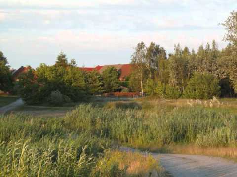 Der offizielle Gülpe-Song 2012