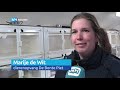Dierenopvangcentra lijden onder grote regeldruk