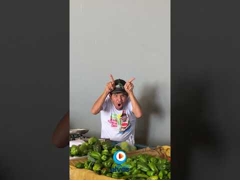 FEIRA PÚBLICA MUNICIPAL NA CIDADE DE MACAÚBAS NA BAHIA