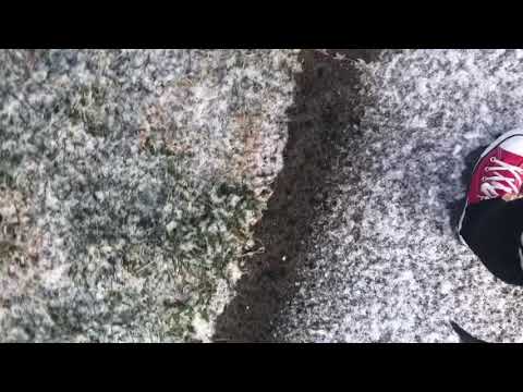 THE CHRONICLES OF NADIA