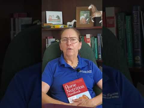 Feeding Your Horse Quiessence, the Popular Magnesium Supplement