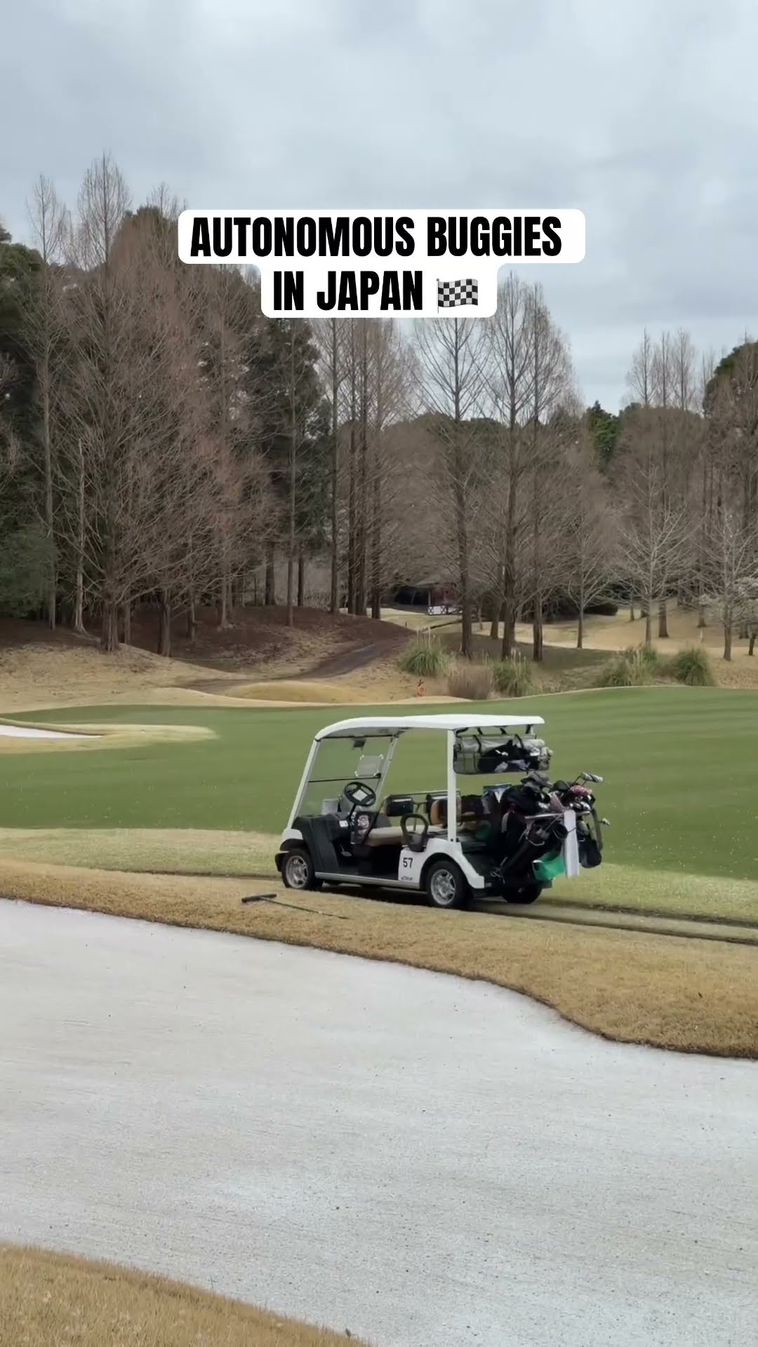 Reason #97 why golf in Japan is elite ๐, 1 view - play Short