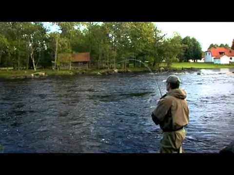 Fliegenfischen auf Meerforellen am Em in Schweden - der Film!