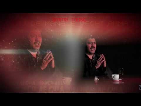 Nicolae Guta - Eu as da zilele mele