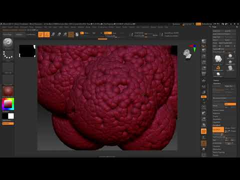 Broccoli Top Reduce : zBrush