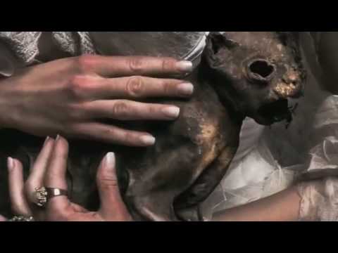 Interview (subtitled) with Andrzej Dragan - Part 2