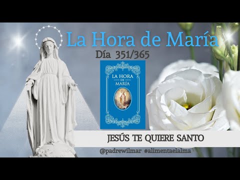 Día 351 | La Hora de María| Meditación diaria | Jesús te quiere santo
