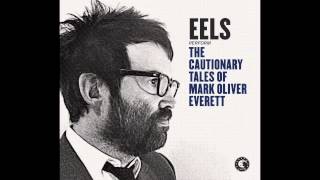 EELS - A Swallow In The Sun (audio stream)