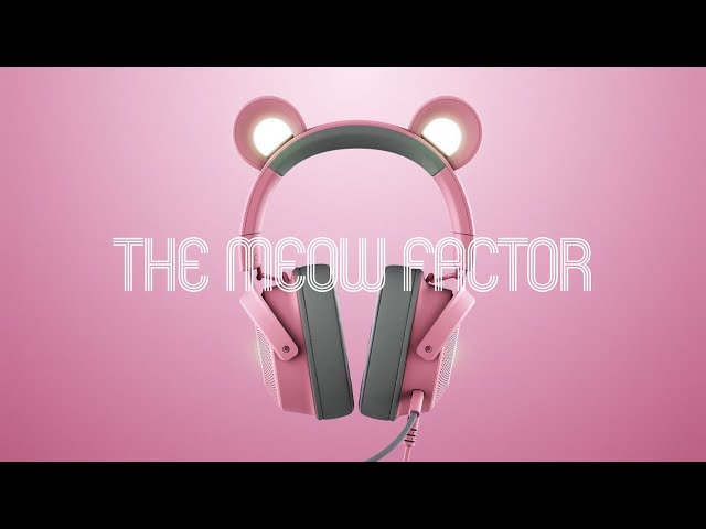 YouTube Video -