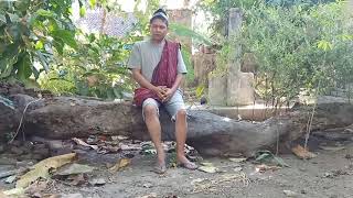 Download lagu Katiko madang ndk babuah mp3 Download lagu Katiko madang ndk babuah mp3