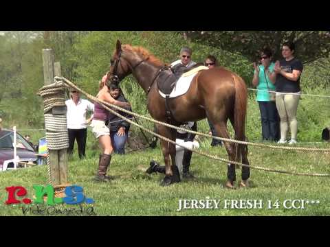Jersey Fresh 14 CCI 3 Star Cross Country Water